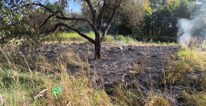 Узнали, как спасатели Кричева предотвратили пожар