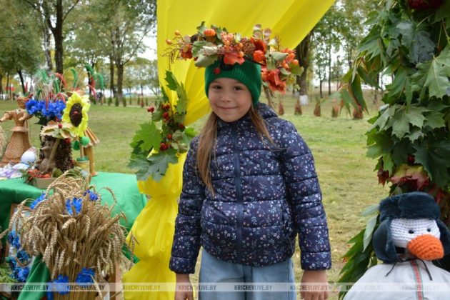 Узнали, как проходит праздник города в Кричеве