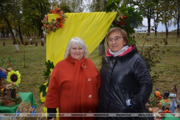 Креативные композиции, что радуют кричевлян на праздниках
