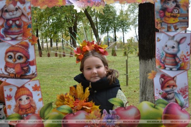 Креативные композиции, что радуют кричевлян на праздниках