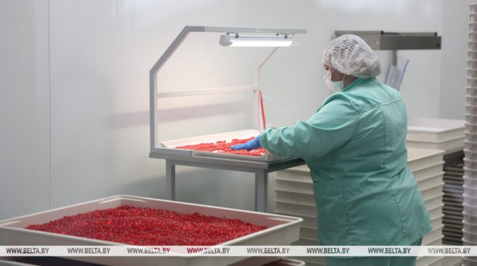 Объем производства фармпродукции в 2024 году составил Br2,5 млрд, в 2026-м превысит Br3 млрд Объем производства фармпродукции в 2024 году составил Br2,5 млрд, в 2026-м превысит Br3 млрд