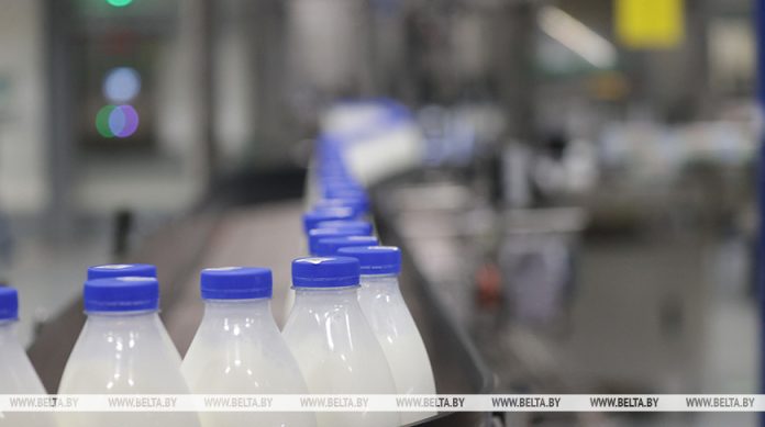 Минсельхозпрод: Беларусь прирастает в производстве молока