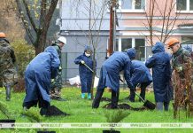 Белстат: более Br19,6 млн заработано на республиканском субботнике