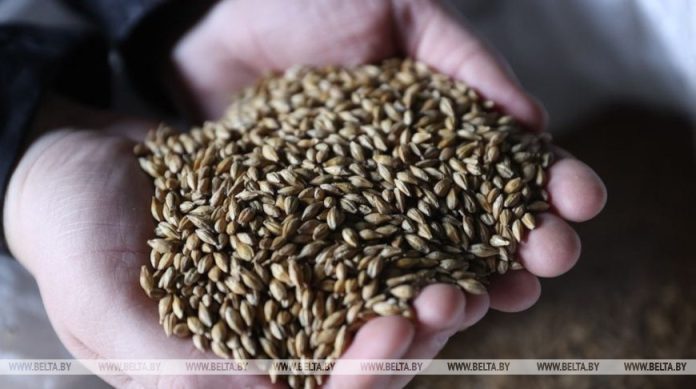 000026_1761742575_745797_big