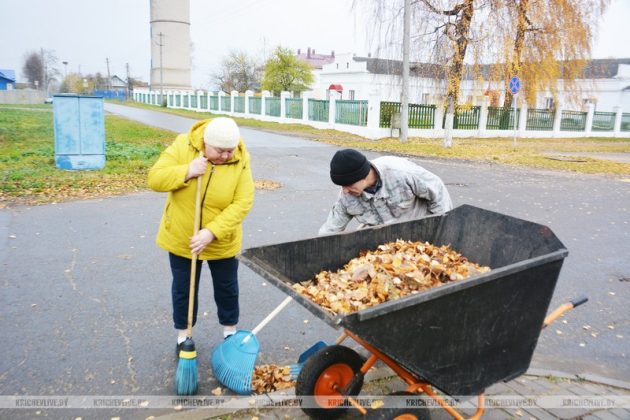 Республиканский субботник: как жители Кричева делают свой город краше
