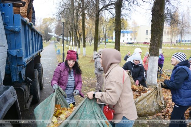 Республиканский субботник: как жители Кричева делают свой город краше