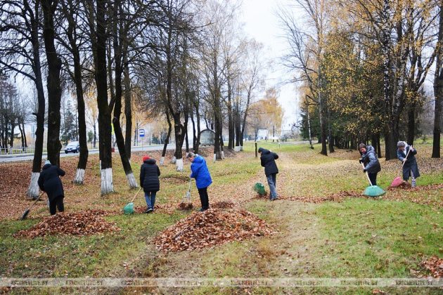 Республиканский субботник: как жители Кричева делают свой город краше