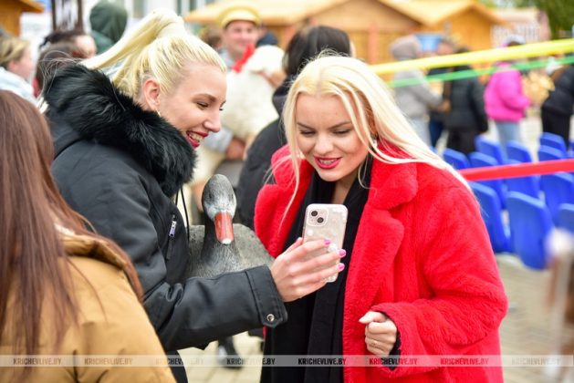 Подготовка к Дожинкам-2025 в Кричеве идет полным ходом: фотофакт