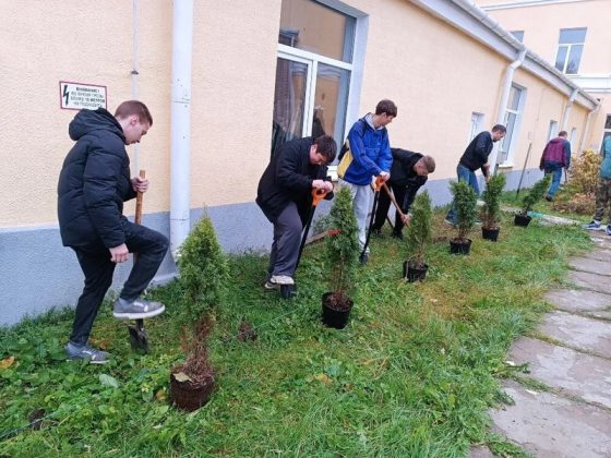 Сто туй и яблоневый сад высадили в кричевской школе
