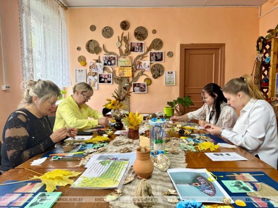 Для молодых специалистов Кричева провели мастер-класс
