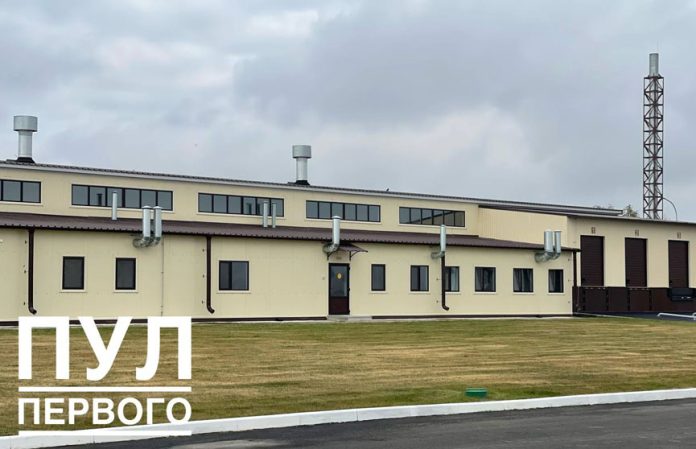 Через 3,5 года в Беларуси выведут свою перепелку
