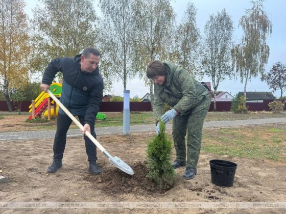 Сегодня в Кричеве проходит Единый день озеленения