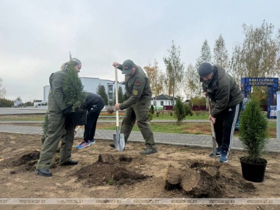 Сегодня в Кричеве проходит Единый день озеленения