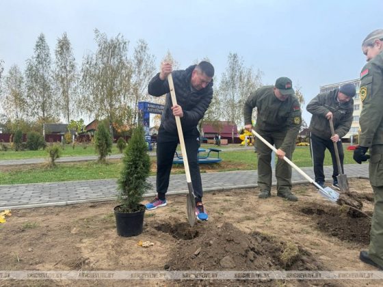Сегодня в Кричеве проходит Единый день озеленения