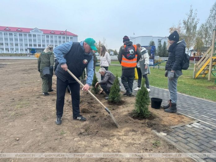 Сегодня в Кричеве проходит Единый день озеленения