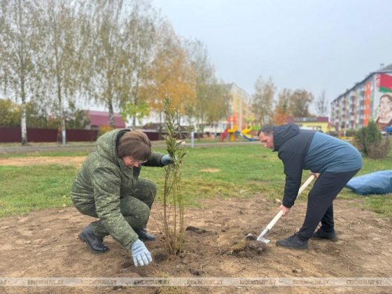 Сегодня в Кричеве проходит Единый день озеленения