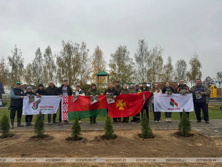 Сегодня в Кричеве проходит Единый день озеленения