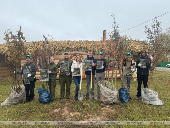 Сегодня в Кричеве проходит Единый день озеленения