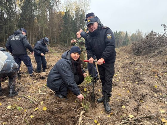 В акции «Дай лесу новае жыццё» кричевляне принимают активное участие