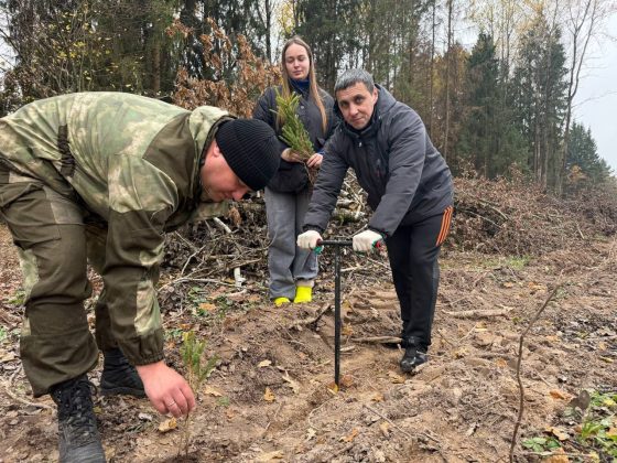 В акции «Дай лесу новае жыццё» кричевляне принимают активное участие