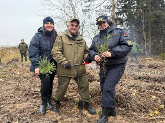 В акции «Дай лесу новае жыццё» кричевляне принимают активное участие