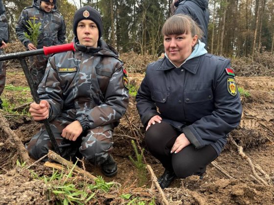 В акции «Дай лесу новае жыццё» кричевляне принимают активное участие