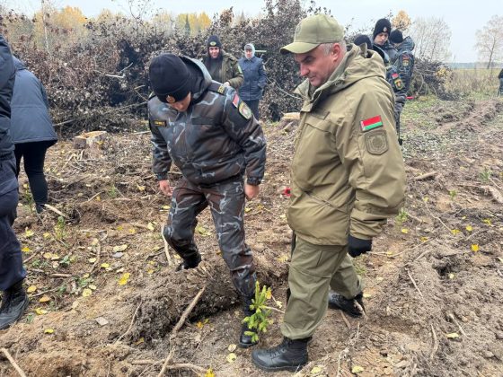 В акции «Дай лесу новае жыццё» кричевляне принимают активное участие