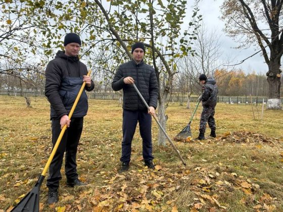 Служба и патриотизм: сотрудники Кричевского РОВД вместе с молодежью на субботнике