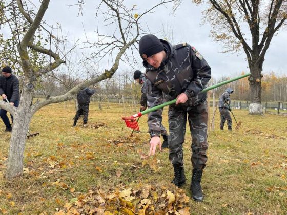 Служба и патриотизм: сотрудники Кричевского РОВД вместе с молодежью на субботнике
