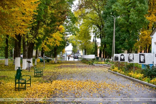 Фотофакт: осень в Кричеве