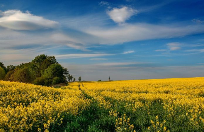 На карте Беларуси появился новый населенный пункт с красивым названием На карте Беларуси появился новый населенный пункт с красивым названием