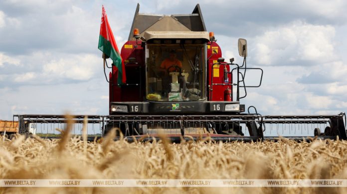 "Вы справитесь с любыми задачами". Лукашенко поздравил работников АПК с профессиональным праздником