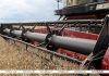 Почти 10,5 млн тонн зерна с учетом рапса и кукурузы собрано в Беларуси Почти 10,5 млн тонн зерна с учетом рапса и кукурузы собрано в Беларуси