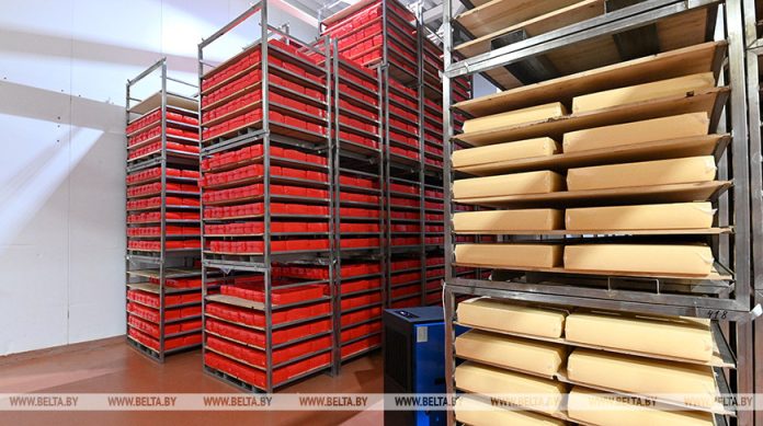 Беларусь расширяет географию поставок продовольствия. В какие страны возрос экспорт? Беларусь расширяет географию поставок продовольствия. В какие страны возрос экспорт?