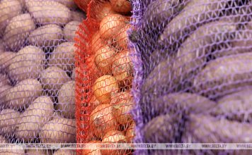 Сколько плодоовощной продукции уже заложено в стабфонды? Рассказали в МАРТ Сколько плодоовощной продукции уже заложено в стабфонды? Рассказали в МАРТ