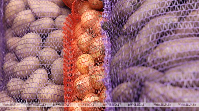 Сколько плодоовощной продукции уже заложено в стабфонды? Рассказали в МАРТ