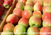 Объемы производства плодов и ягод к 2030 году планируется увеличить до 265 тыс. тонн Объемы производства плодов и ягод к 2030 году планируется увеличить до 265 тыс. тонн