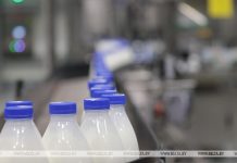 Беларусь планирует поставлять молочную продукцию в Мьянму через биржу