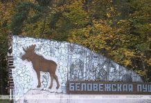 Нацпарку «Беловежская пуща» передали под охрану места произрастания редких растений и грибов Нацпарку "Беловежская пуща" передали под охрану места произрастания редких растений и грибов