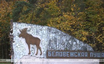 Нацпарку «Беловежская пуща» передали под охрану места произрастания редких растений и грибов Нацпарку "Беловежская пуща" передали под охрану места произрастания редких растений и грибов