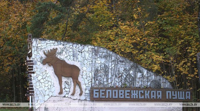 Нацпарку "Беловежская пуща" передали под охрану места произрастания редких растений и грибов