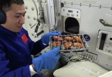 Китайские космонавты впервые приготовили барбекю на орбитальной станции Китайские космонавты впервые приготовили барбекю на орбитальной станции