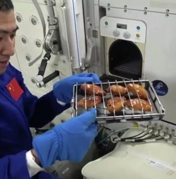 Китайские космонавты впервые приготовили барбекю на орбитальной станции Китайские космонавты впервые приготовили барбекю на орбитальной станции