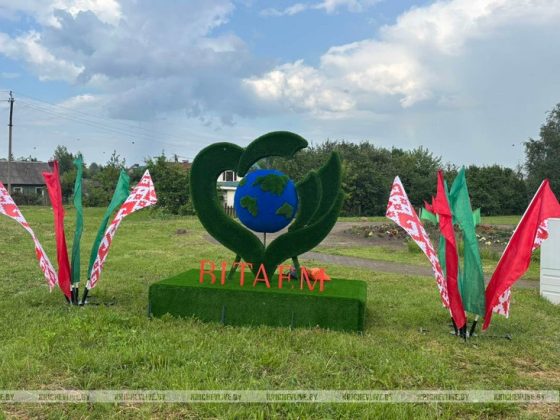 Чем запомнился кричевлянам Год благоустройства