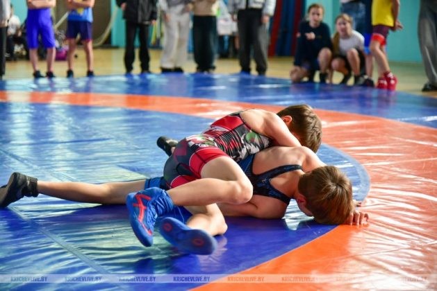 В Кричеве более 300 спортсменов из Беларуси и России борются за медали