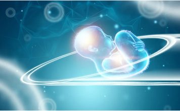 Искусственный интеллект впервые помог бесплодной паре зачать ребенка Искусственный интеллект впервые помог бесплодной паре зачать ребенка