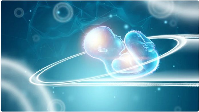 Искусственный интеллект впервые помог бесплодной паре зачать ребенка Искусственный интеллект впервые помог бесплодной паре зачать ребенка