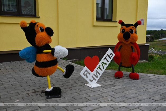 Чем запомнился кричевлянам Год благоустройства