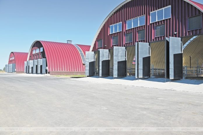 Кричевское КСУП «Малятичи-Агро»: новая площадка для КРС - инвестиция в пятилетку качества