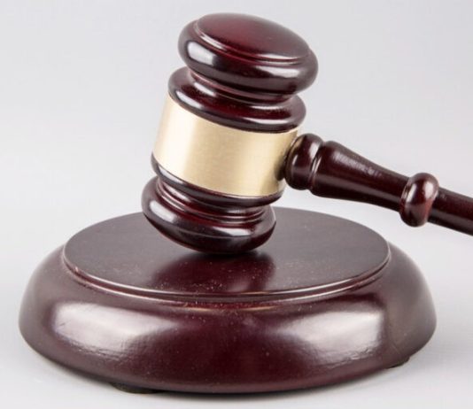 Экс-руководитель агроорганизации Кричевщины скрыл падеж 112 голов крупного рогатого скота Экс-руководитель агроорганизации Кричевщины скрыл падеж 112 голов крупного рогатого скота